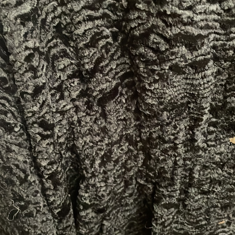 Deep Black Persian Cape Coat. Like Brand New 💕 - Picture 8 of 12